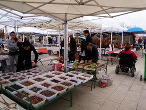 阿拉善展会爆料信息最新,绿色科技盛宴即将启幕  第3张